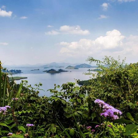 Chameleon Hill Forest Lodge Bwindi Impenetrable Park Dış mekan fotoğraf