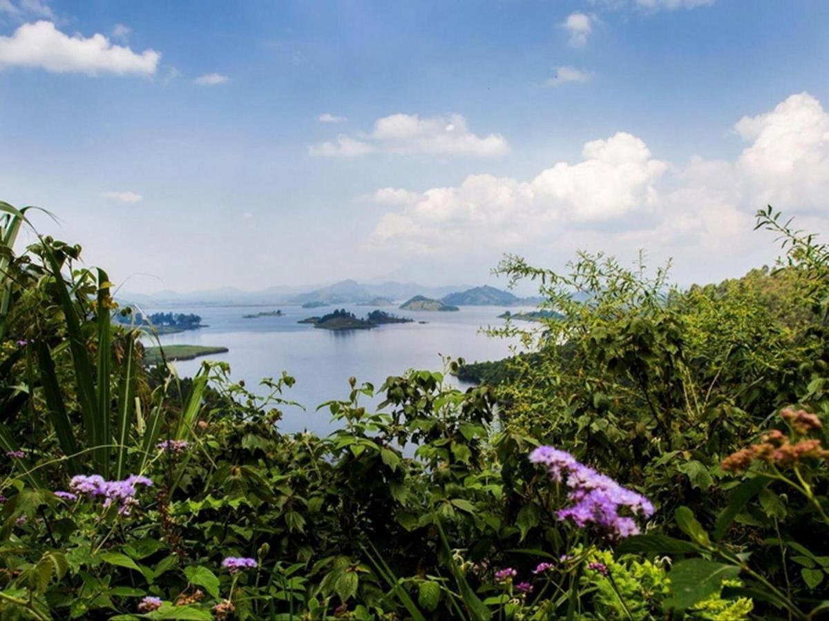 Chameleon Hill Forest Lodge Bwindi Impenetrable Park Dış mekan fotoğraf