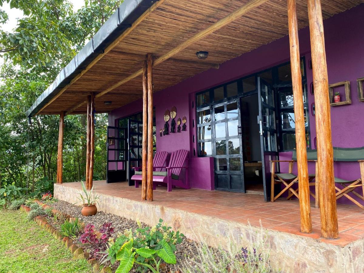 Chameleon Hill Forest Lodge Bwindi Impenetrable Park Dış mekan fotoğraf