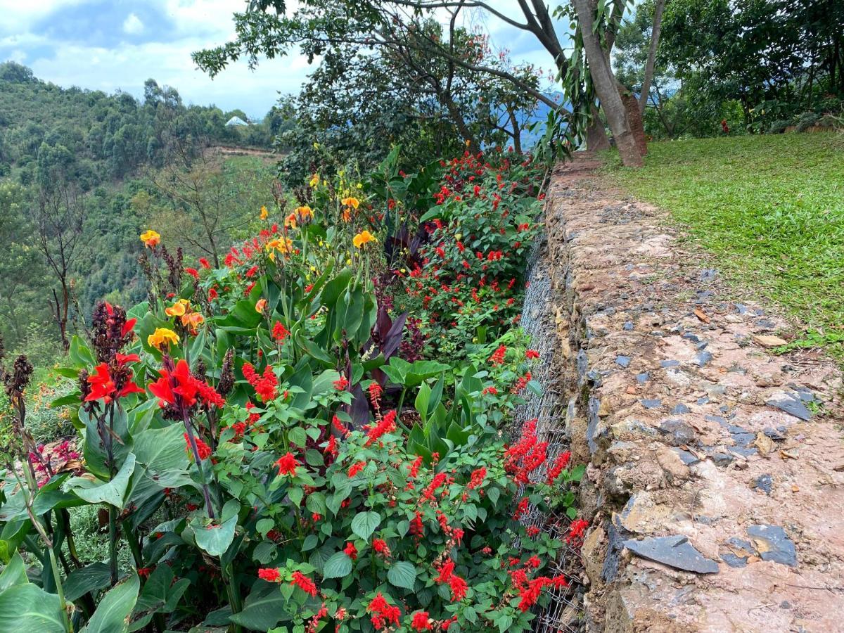 Chameleon Hill Forest Lodge Bwindi Impenetrable Park Dış mekan fotoğraf