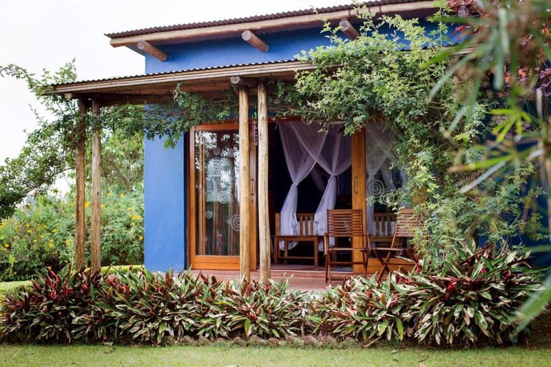 Chameleon Hill Forest Lodge Bwindi Impenetrable Park Dış mekan fotoğraf
