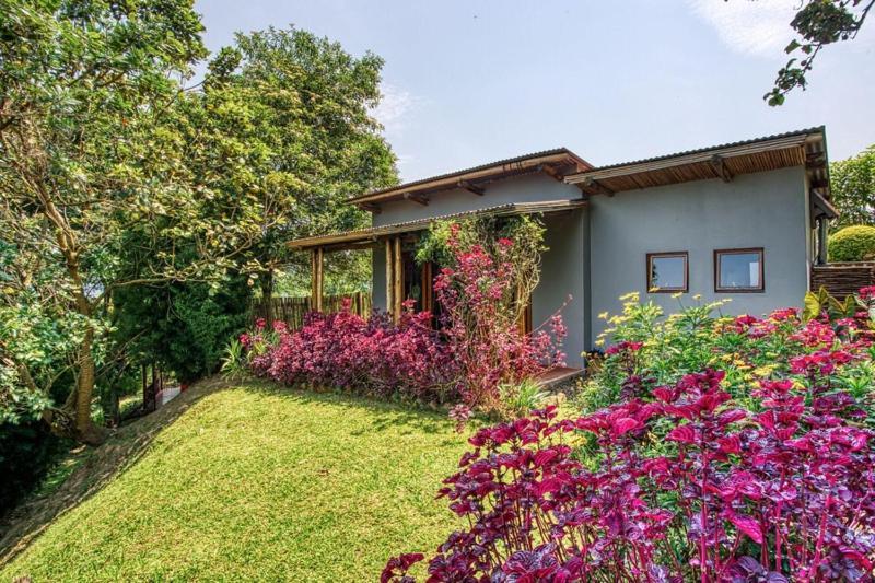 Chameleon Hill Forest Lodge Bwindi Impenetrable Park Dış mekan fotoğraf