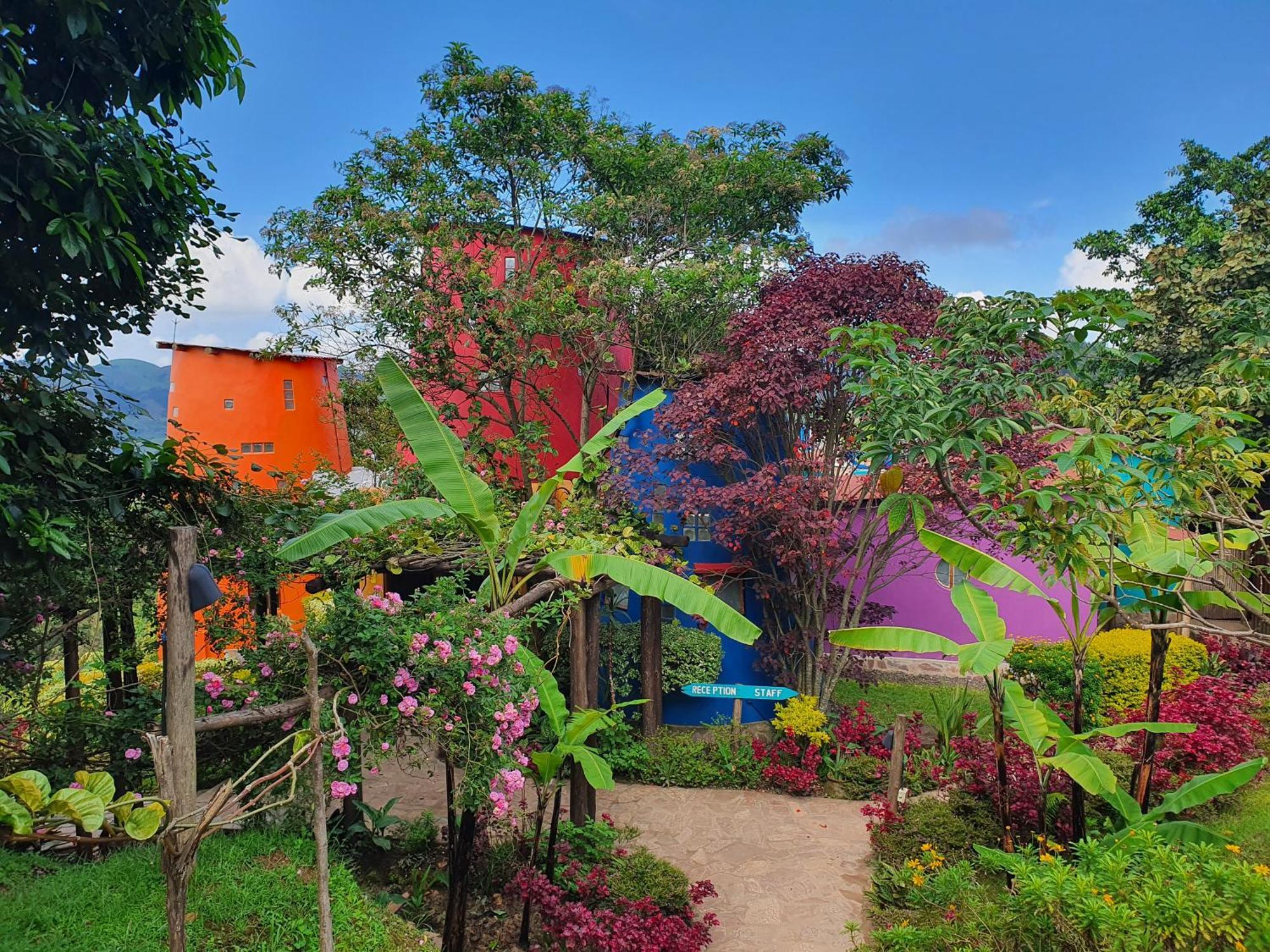 Chameleon Hill Forest Lodge Bwindi Impenetrable Park Dış mekan fotoğraf